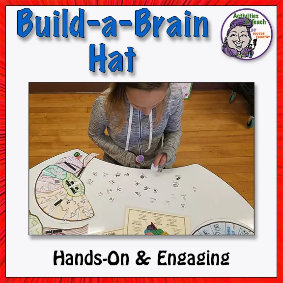 Middle School Science - Human Brain: Build-a-Brain Hat Foldable - Activities  to Teach